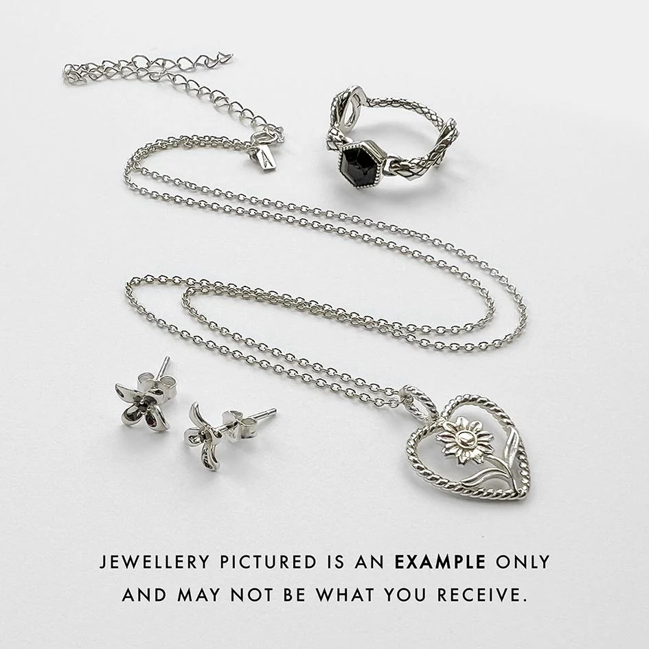The REGALROSE Mystery Bag - Silver - Image 2