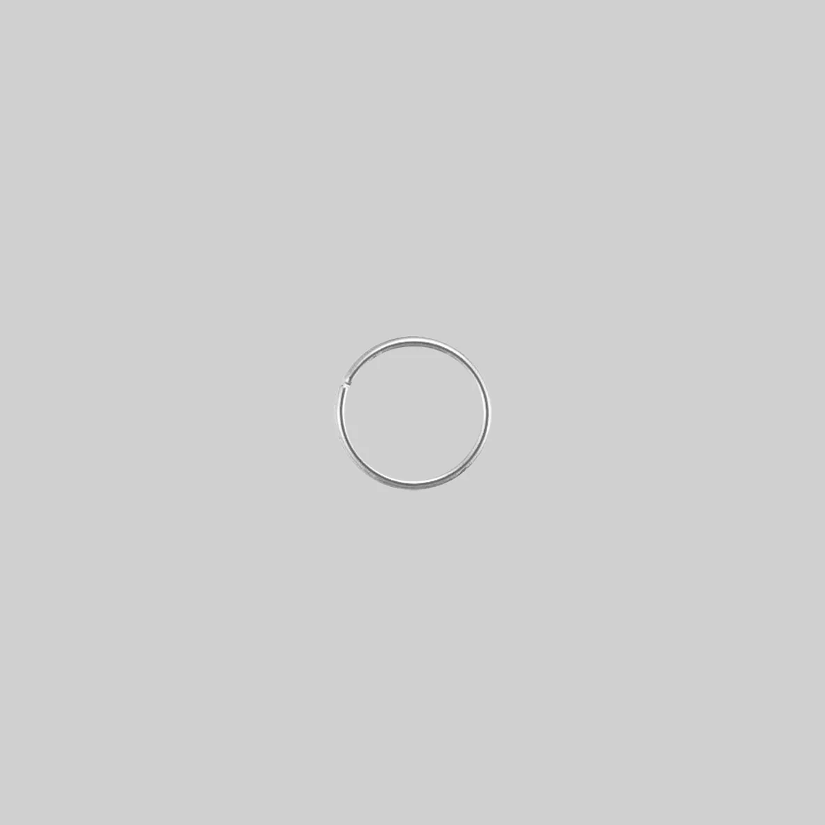 The Fine Nose Ring - Image 11