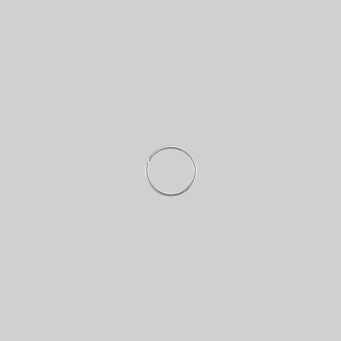The Fine Nose Ring - Image 5